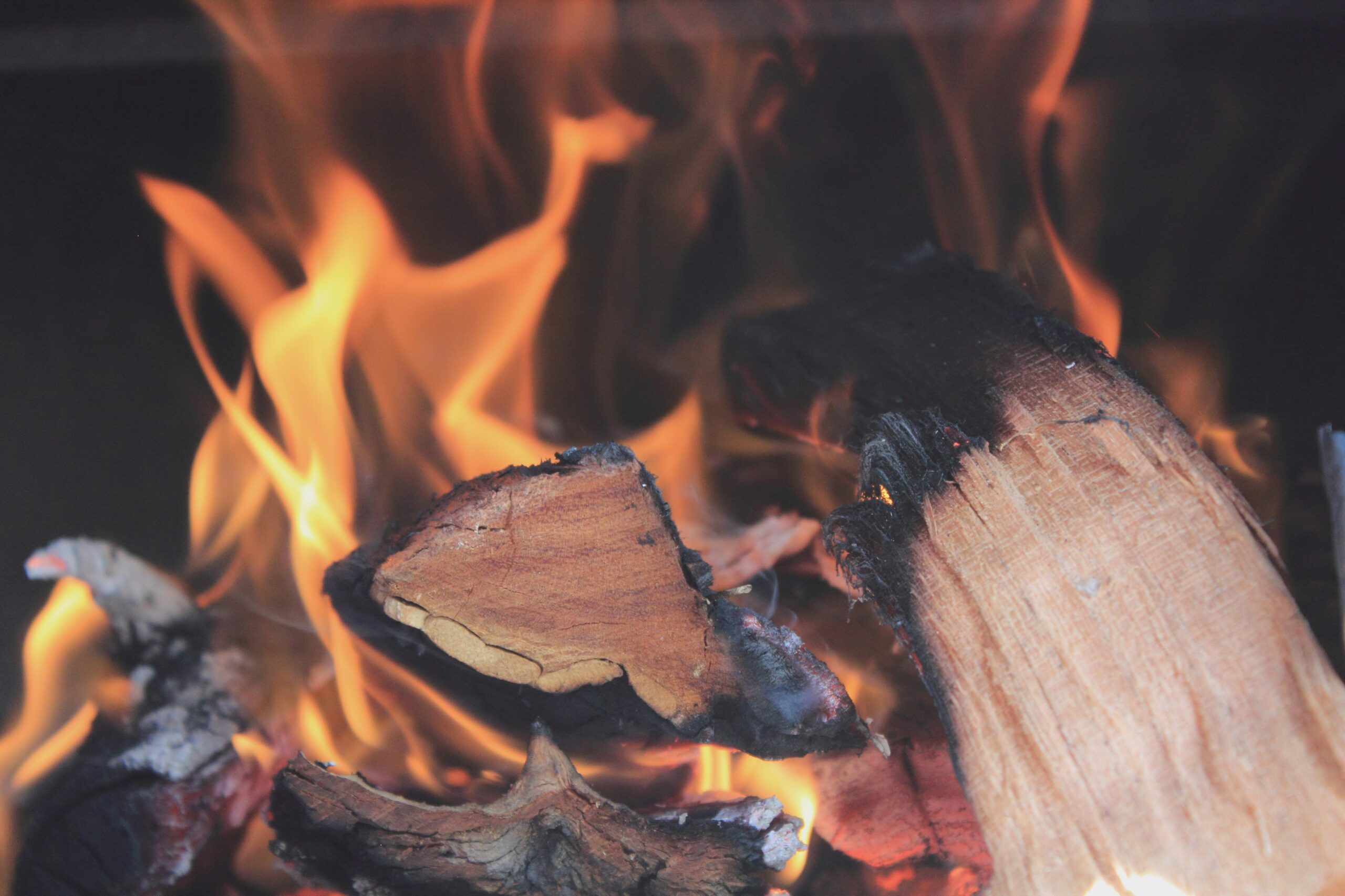 Burning logs
